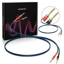 UCINNOVATEピンバナナプラグ付きバイワイヤードスピーカーケーブル、金メッキバナナプラグ付き13 AWG 2パック9.8フィート/ 3メートルスピーカーワイヤ、Hi-Fiホームオーディオアンプ用ヘビーデューティブルースピーカーケーブル