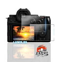 用 Panasonic LUMIX DC-S9 / DC-G100 ガラスフィルム 2枚 【国産AGC旭硝子素材】 用 LUMIX S9 強化ガラス フィルム ...