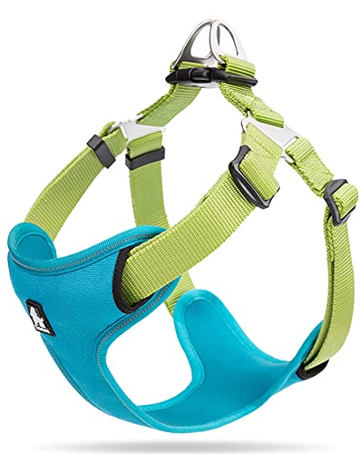 cocomall TRUE LOVE専門販売店 犬用ハーネス 犬用胴輪 ドッグ ペット用品 ハーネスリード 3M反射材料 訓練 ナイロン製 小型犬、中型犬、大型犬に向け 通気性 調節可能 (M, ブルー)