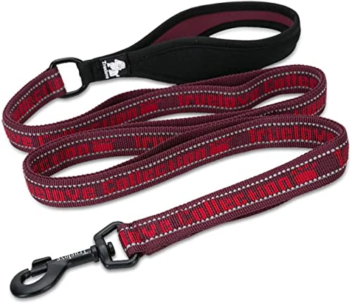 cocomall 六箇所持ちハンドル犬用リード 小型、中型、大型犬用リード 訓練リード ロングリード ペット用品 ハーネス 3M反射材料 ナイロン製 通気性 調節可能 メッシュペット (M, ワインレッド)