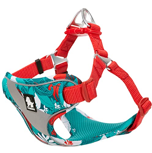 cocomall 負担軽減犬用ハーネス 犬用胴輪 ドッグ ペット用品 ハーネスリード 3M反射材料 訓練 ナイロン製 小型犬、中型犬、大型犬に向け 通気性 調節可能 (M, blue&red)