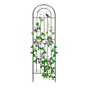 Rxakudedo アイアンフェンス 園芸 フェンス ガーデンフェンス ハイタイプ 高さ180cm ローズフェンス 蔓性植物用支柱 フェンス