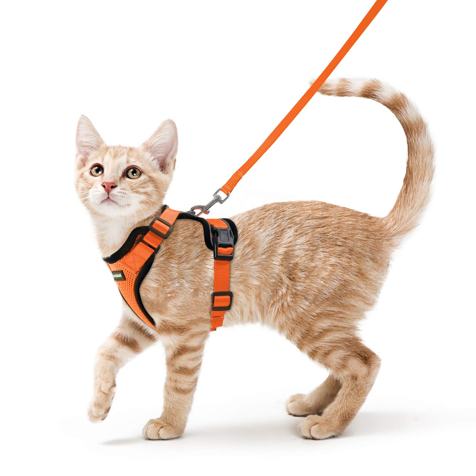 Rabbitgoo 猫 ハーネス リード セット 抜けない 猫用ハーネス ソフト胸あて 軽量 足を上げず装着完成 サイズ調節可 夜反射 通気メッシュ 咳込み防止 散歩 犬用ハーネス 猫の胴輪 くびわ ベスト パグ ネコねこ子猫 散歩ひも 猫はーねす胴輪 猫 ハーネス りーど（オレンジ