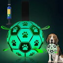 【送料無料】Healthman 暗闇で光るストラップ付き犬用おもちゃボール、インタラクティブな犬用おもちゃ小犬と中犬用のサッカー、点灯します|詳細画像