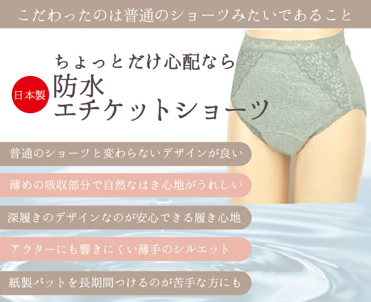 【メール便 送料無料 】防水 エチケット ショーツ（パンティ 吸水 尿 漏れ 女性 軽失禁 介護 パンツ 尿もれ レディース 女性 薄 おしゃれ レース 産後 失禁 生理 マタニティ ピンク クリーム カスタード グレー 杢 ミックス シンプル レース 綿 コットン スマート 普通） 2