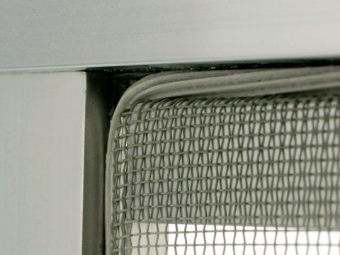 �ָ� �ӡ��� ���� 3.0mm ���������ֲ��������� �ż������� �ָ� ĥ�� ���� ���� �򴹡ڥ����������å� 1�᡼�ȥ�ñ�̤Ǥ��ڤ�������� ��