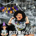 ウォールステッカー ハロウィン 飾り くもの巣  蜘蛛の巣 クモの巣 くも 蜘蛛 クモ 特大 大きい 壁 飾りつけ 飾り おしゃれ 海外風 カーテン 白 ホワイト 霧 デコレーション ネット 怖い パーティー 吊り下げ ホラー お化け屋敷