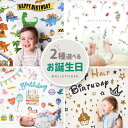 選べる2枚 セット ウォールステッカー 誕生日 バースデー ハーフバースデー フラワーカーテン 花 飾り 飾り付け 装飾 名入れ 百日祝い 100日祝い 6か月...