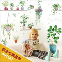 訳あり美品 アウトレット ウォールステッカー 【グリーンシェルフ】 はがせる 壁 シール ステッカー 壁紙 飾りつけ おしゃれ 北欧 植物 木 葉 草 花 観葉植物 ハンギングプランター 吊り下げ 鉢 プラントポット かわいい フェイクグリーン 多肉植物 英字 英語 筆記体
