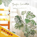 訳あり美品 アウトレット ウォールステッカー モンステラ 夏 はがせる 壁 シール ステッカー 壁紙 飾りつけ おしゃれ 北欧 植物 木 葉 草 花 観葉植物 葉っぱ グリーン 南国 ハワイ リゾート トロピカル ビーチハウス 西海岸 背の高いモンステラ