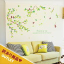 訳あり美品 アウトレット ウォールステッカー はがせる 壁 シール ステッカー 壁紙 飾りつけ おしゃれ 北欧 植物 木 葉 草 花 観葉植物 グリーン 森林 自然 鳥 英語 英字 かわいい シンプル はばたく小鳥