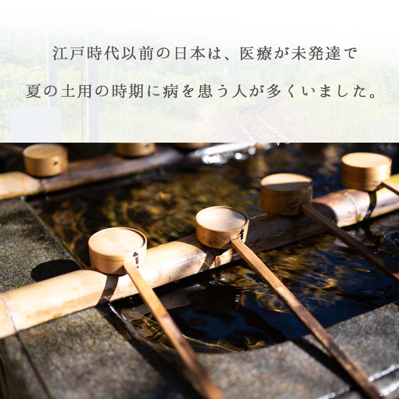 ウォールステッカー 夏 朝顔 花 【暑中お見舞い】 はがせる 壁 シール ステッカー ...