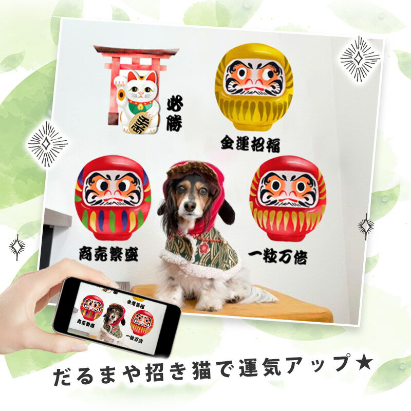 �������륹�ƥå��� ������ ���� �ڤ���ޤγ�������� �Ϥ����� �� ������ ���ƥå��� �礭�� �ɻ� ���� ������� ɬ�� ������ �ﵯʪ �� ���� ���� ��������