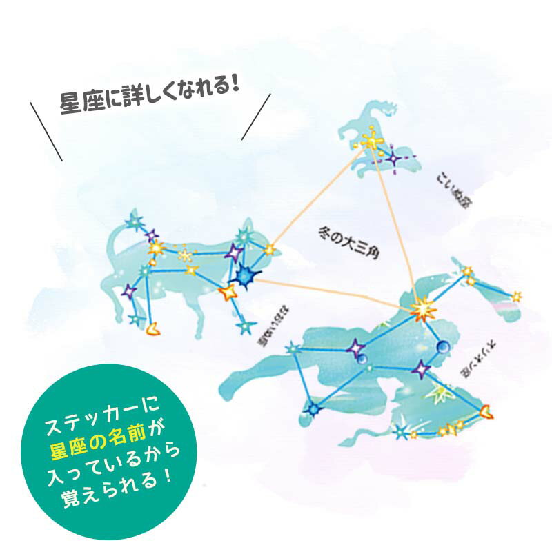 ウォールステッカー プラネタリウム 【 星座の大図鑑 】 星 夏 宇宙 飾り 北斗七星...
