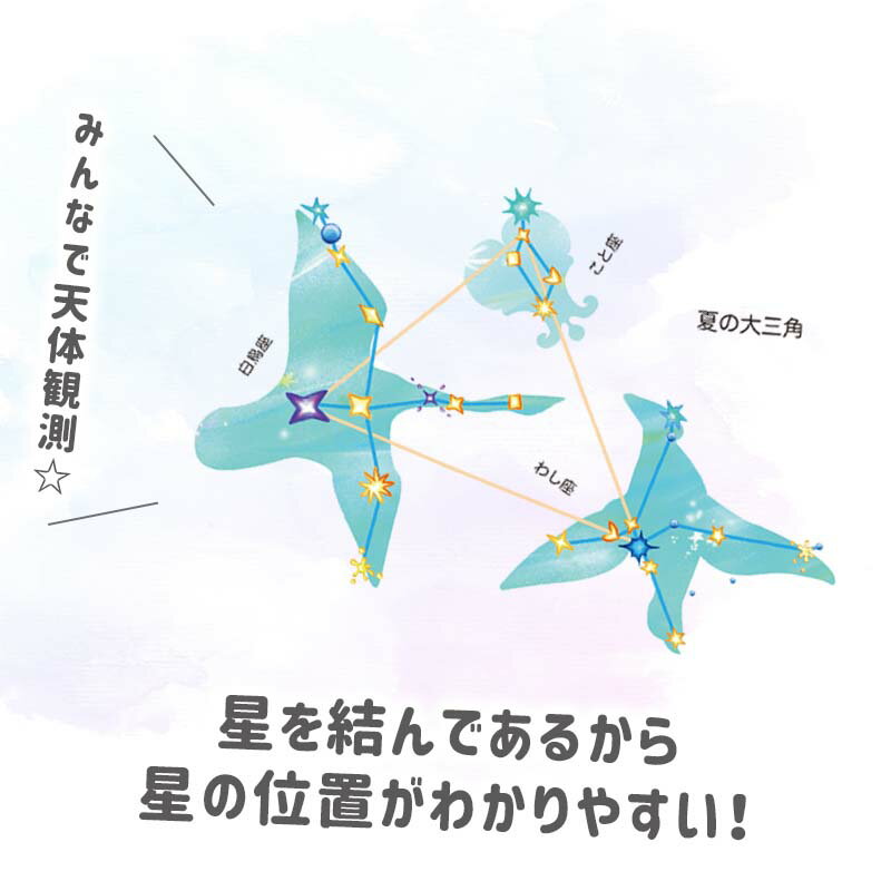 ウォールステッカー プラネタリウム 【 星座の大図鑑 】 星 夏 宇宙 飾り 北斗七星...