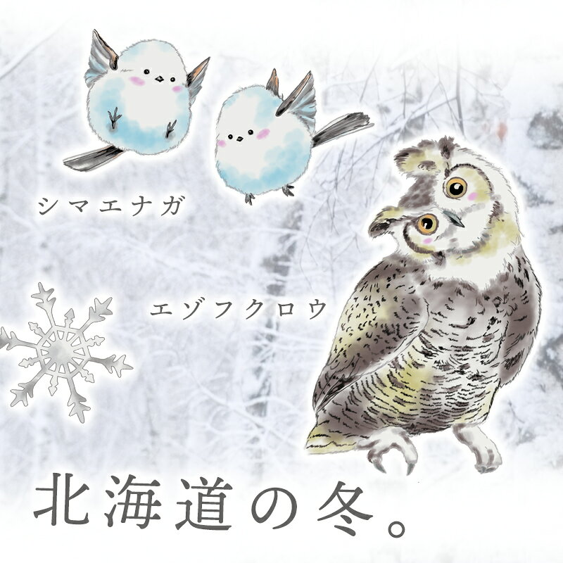 ウォールステッカー はがせる 日本製 クリスマ...の紹介画像3
