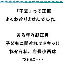 ◆セール◆ お試し ウォールステッカー お正月 【パステル干支】 はがせる 壁 シール ステッカー 壁紙 飾りつけ かわいい おしゃれ 風船 バルーン 干支 十二支 新年 福笑い 年賀状 動物 知育 子ども 子供部屋 キッズルーム キッズ トイレ お風呂