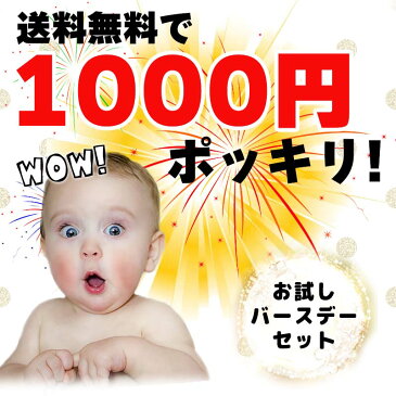 ウォールステッカー 送料無料 誕生日 【送込み1000円 お試しバースデーステッカー&バルーン2個セット】 パーティー 飾り 1歳 男 2歳 飾り付け 北欧 英字 花 バースデー 剥がせる 壁紙 お祝い 飾りつけ ガーランド 風船 バルーン ハーフバースデー プレゼント ストロー付き