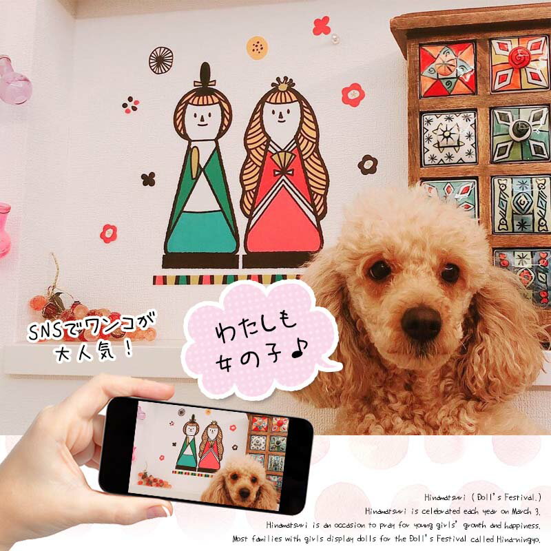 ��󥳥��� 500�� ��� �������륹�ƥå��� �Ҥʺפ� ���Ҥ��� �ڥ���ѥ��Ȥ��Ҥʤ��ޡ� �Ϥ����� �� ������ ���ƥå��� �ɻ� ����Ĥ� ������� �̲� ��ʪ �� �� �� �� ���տ�ʪ ������� 500�ߥݥå��� �ߥ� �Ҥʿͷ� ���λ� ���ˤ� ��� ���襤�� ���� ����� 1��