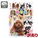 【訳あり】ぬりえ いぬがいっぱい 子ども用ぬりえ 【メール便対応】(1通6冊までOK!)