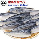 訳あり さば サバ 塩サバ 骨取り 1.2~ 2.4kg (12 ~ 24枚) 選べるセット 送料無料 トロさば 骨 取りノルウェー 鯖