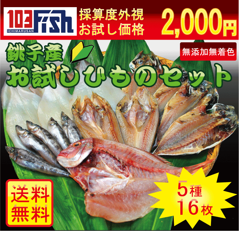 【初めての方】銚子産お試しひものセット【楽ギフ_のし】【楽ギフ_メッセ】