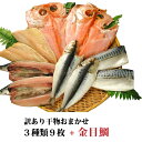 干物 干物セット 店長お任せ 干物ミックス金目鯛開き干し+3種×3枚計9枚 送料無料 訳あり3種9枚+金目鯛開き1枚