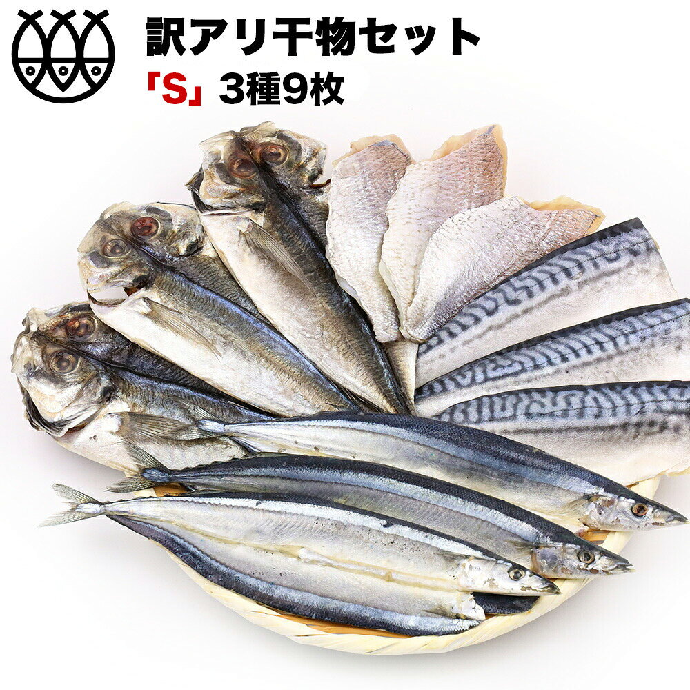 訳あり 干物 干物セット 【S】 3種9