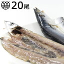 さんまの開き 20尾 上等品 干物セット さんま 秋刀魚 サンマ 干物 開き干し 一夜干し お正月 お歳暮 お年賀 魚介 海鮮 魚 料理 朝ごはんの魚 家計の味方『通常サンマ開き20枚』