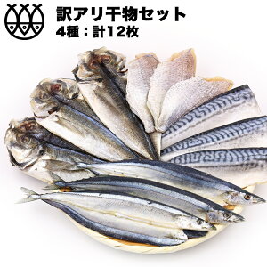 セール SALE 訳あり 干物 干物セット 4種12枚 （只今、おまけ付き！） 味付け魚 送料無料 食品 訳ありセット 干物詰合せ 干物詰め合わせ 魚 高級干物 おまかせセット 福袋 一夜干し 魚介セット さんま サンマ 秋刀魚 さば アジ アウトレット ひもの