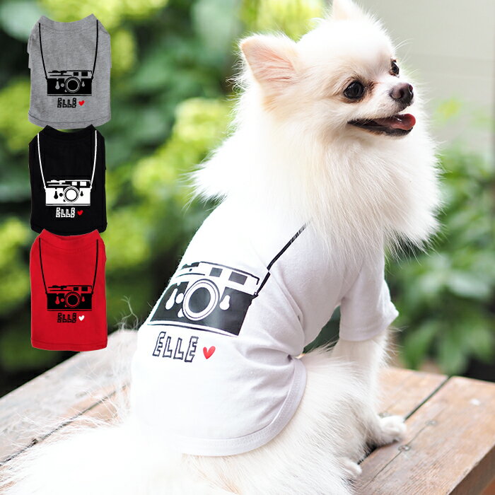 【カメラTシャツ】小型犬【S-XLサイズ】 犬 飼い主 お揃い もできる♪ ペアルック Tシャツ 名入れ 名前入り 半袖 春夏 コーデ お揃いコーデ リンクコーデ ドッグウェア ペット 誕生日プレゼント ギフト 贈り物 犬 好き プレゼント 誕生日