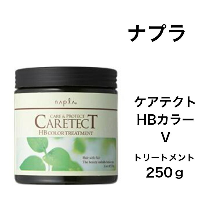 【ナプラ】 ケアテクトHB カラートリートメントV 250g/650g/600g（詰替）/1200g（詰替） ヘアカラー毛 ヘマチン配合 加水分解ヒアルロ..