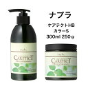 【送料無料】ナプラ ケアテクトHB カラーシャンプーS 300ml &トリートメント 250gしっとり 天然ハーブエキス配合 ノンシリコン ヘアカラー毛 ヘマチン配合弱酸性 カラーヘア 褪色防止 やわらかい まとまり 美容室専売品ヘアサロン 美容室