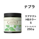 ナプラ ケアテクトHB カラートリートメント S 250g ヘアカラー毛 ヘマチン配合 加水分解ヒアルロン酸 ハーブエキス配合 しっとり やわ..