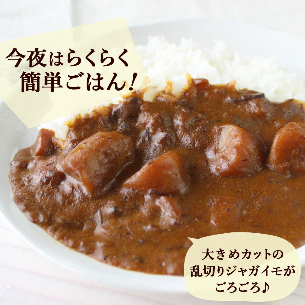 レストランユース カレー 具材ごろっとビーフカレー 220g×12食セット【レトルトカレー ニチレイ 送料無料】【おすすめ手抜きメニュー】【宅配便A】