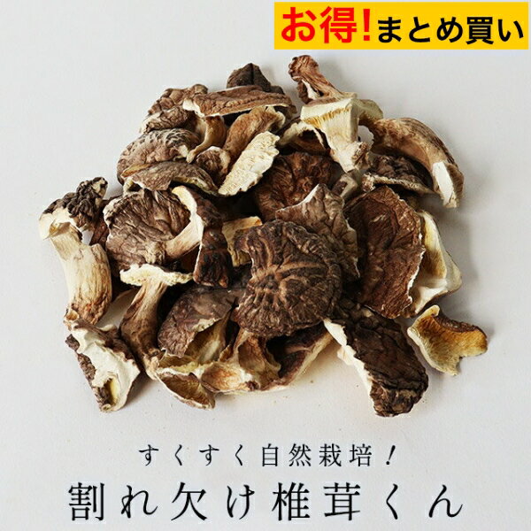 干し椎茸 110g×5袋セット まとめ買い 国産 椎茸 原木栽培 自然栽培 割れ欠け椎茸くん 送料無料 干し椎茸 訳あり 干ししいたけ 干しシイタケ 国産 大分 ほししいたけ 原木 栽培 グルメ食品 mtm