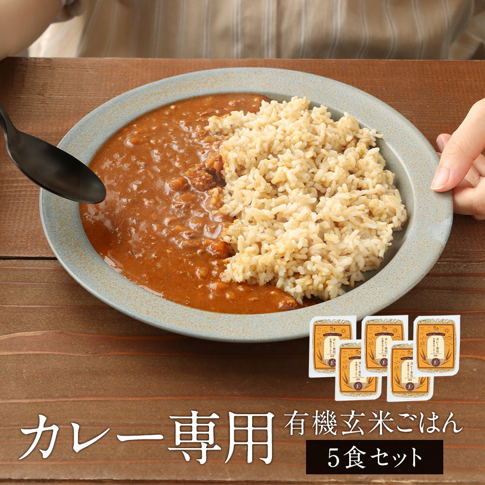 【10%OFFセール】カレー 専用 有機 玄