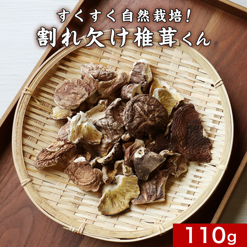 【10%OFFセール】訳あり 国産 干し椎茸 110g 自然栽培 しいたけ 業務用 割れ欠け椎茸くん 送料無料 乾燥椎茸 シイタケ 大分 原木 栽培 グルメ食品 農薬不使用 どんこ こうこ こうしん うす葉 無選別 栽培 レシピ 保存 煮物 人気 出汁 asdf 124ms