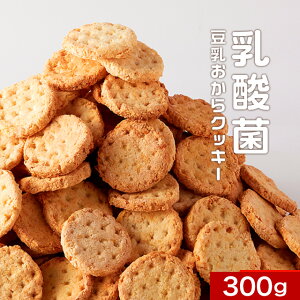 乳酸菌 豆乳おからクッキー ハードタイプ 1袋（500g） ダイエット お菓子 訳あり スイーツ 送料無料 おからクッキー おから ワケあり わけあり わけあり おかし おやつ 置き換え ダイエット 硬い