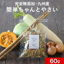 完全無添加 九州産 野菜 5種ミック