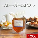 ブルーベリーのはちみつ 125g 100% 純粋 カナダ産 蜂蜜 ハチミツ 1000円ポッキリ 送料無料 キャップ付き スタンドパック