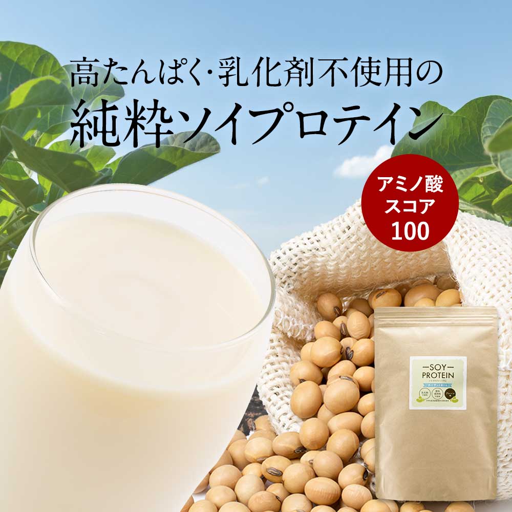 ソイプロテイン 乳化剤 無添加 大豆 植物性 プロテイン 400g 人工甘味料不使用 人気 おすすめ 初心者 お試し 女性 美容 高たんぱく タンパク質 アミノ酸スコア100 ボディメイク ダイエット 大豆プロテイン なめらか 送料無料