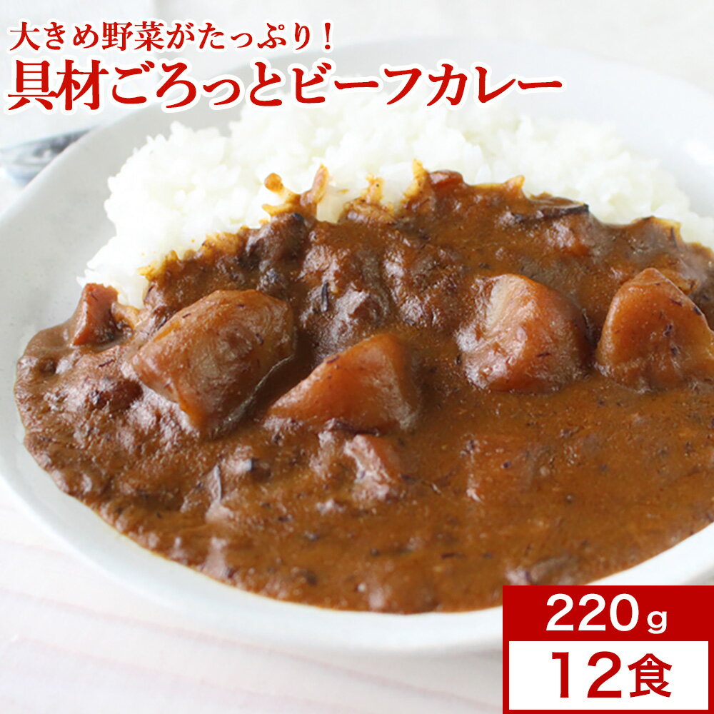 レストランユース カレー 具材ごろっとビーフカレー 220g×12食セットレトルトカレー ニチレイ 送料無料 おすすめ手抜きメニュー ニチレイ 送料無料