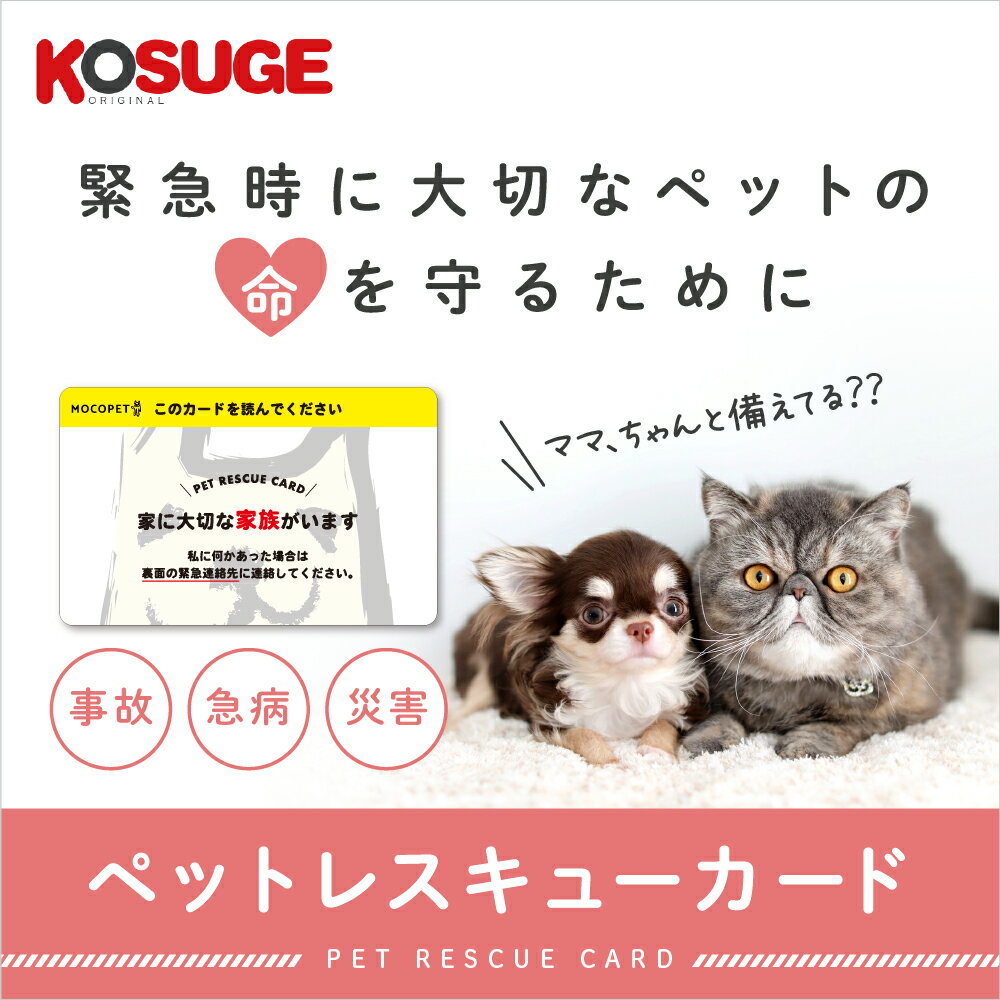 【あす楽】[コスゲオリジナル]KOSUGE ORIGINAL ペットレスキューカード 20909239 #w-1655234-00-00