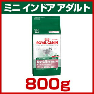 【8/31まで!サマーセール★】[ロイヤルカナン]ROYAL CANIN SHN ミニインドアアダルト 生後10ヵ月齢から8歳までの室内飼育の小型犬に 800g プレミアム ドッグフード ドライ [正規品]