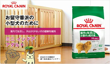 【あす楽】最大350円オフ★ロイヤルカナン ミニ インドア アダルト 4kg 室内で生活し、外出が少ない小型犬 成犬用 [ROYAL CANIN/SHN/犬用ドライ/ドッグフード/犬] 3182550849647 #50676 【RC-ILA】 【IN_201603_01】[旧インドアライフ アダルト]【RCA】【RCSC】