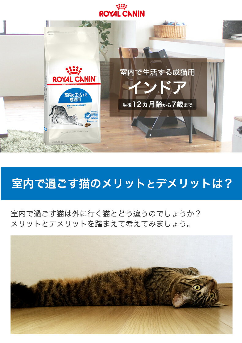 【あす楽】[ロイヤルカナン]ROYAL CANIN インドア 成猫用 10kg 10kg 荷姿：大袋 FHN インドア 成猫用 フード #w-105176-00-00