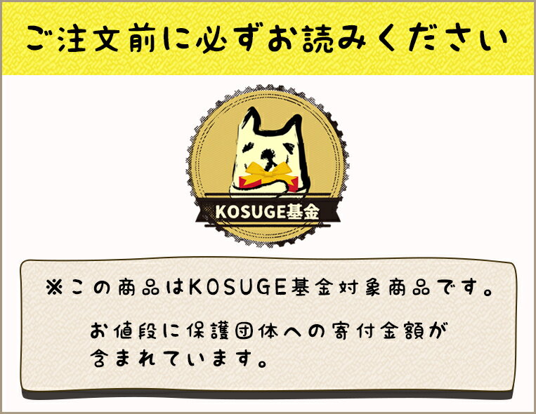 【あす楽】【520円寄付】ロイヤルカナン 柴犬 8+ 3kg×4個 / 中・高齢犬用 8歳以上 BHN 犬用ドライ 【BHN_201701_04】【お得な4個セット】【RCA】【RCSC】