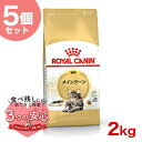 【お得な5個セット】ロイヤルカナン メインクーン 成猫用 2kg / メインクーン 成猫用（生後15ヵ月齢から12歳まで） / FBN 猫 ドライフード ジッパー有り st-w-105173-00-00