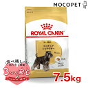 ロイヤルカナン ミニチュアシュナウザー 成犬?高齢犬用 7.5kg / ミニチュアシュナウザー成犬・高齢犬用（生後10ヵ月齢以上） / BHN 犬 ドライフード ジッパー有り #w-091018-01-00